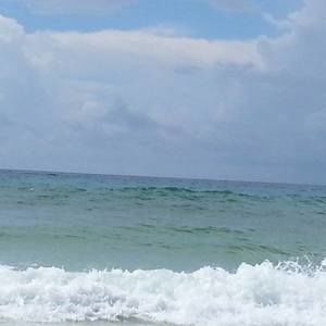 Meet your Posher, Robbie